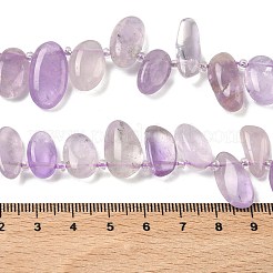 Natural Amethyst Beads Strands&nbsp;G-P604-A08-01