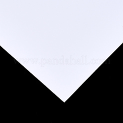 長方形の写真用紙  ホワイト  297x210x0.2mm&nbsp;AJEW-N001-08