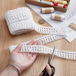 Polyester Tassel Lace Ribbon&nbsp;OCOR-WH0105-196C