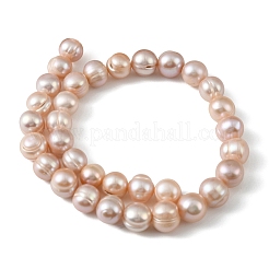 Natural Cultured Freshwater Pearl Beads Strands&nbsp;PEAR-L034-18B