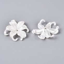 ABS Plastic Imitation Pearl Bead Caps&nbsp;KY-Q004-05B