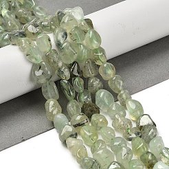 天然石プレナイトビーズ連売り  ナゲット  タンブルストーン  7~13x4.5~10x4.5~10mm  穴：1.2mm  約44~46個/連  15.08''~16.14''（38.3~41センチメートル）&nbsp;G-P497-01E-39