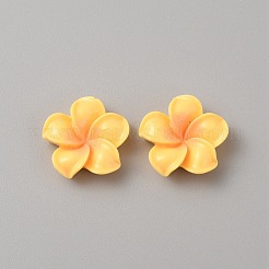 Opaque Resin Cabochons&nbsp;RESI-WH0036-10B