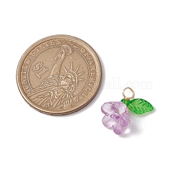 アクリルチャーム  金色の銅線付き  花  ミックスカラー  13.5x13x10.5mm  穴：3.5mm&nbsp;PALLOY-JF03079