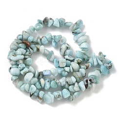 Natural Larimar Beads Strands&nbsp;G-P302-03
