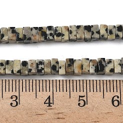 天然石ダルメシアンジャスパービーズ連売り  正方形  4.5x4.5x2.5mm  穴：1mm  約46~51個/連  14.57~15.35''（37~39センチメートル）&nbsp;G-A280-C07-01