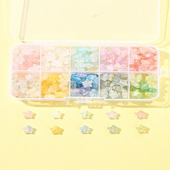 300Pcs 10 Colors Frosted Acrylic Charms&nbsp;OACR-FS0004-09