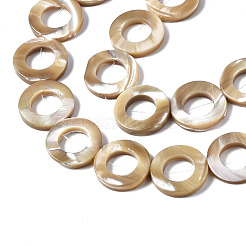 天然トロチッドシェル/トロカスシェルビーズ連売り  リング  20x4mm  穴：1mm  約19個/連  15.24インチ（38.7cm）&nbsp;SSHEL-N032-23B-01