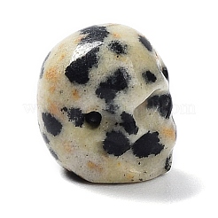天然ダルメシアンの碧玉ビーズ  ハロウィンの頭蓋骨  11~11.5x8.5~9x11~11.5mm  穴：0.9~1mm&nbsp;G-C038-01R