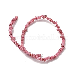 天然淡水シェルビーズ  染め  ナゲット  パールピンク  4.5~9x4.5~7x1.5~5mm  穴：0.8mm  約163~165個/連  14.88~15.08''（37.8~38.3センチメートル）&nbsp;SHEL-B003-01K