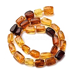 Gradient Color Natural Amber Beads Strands&nbsp;G-F803-D01-03