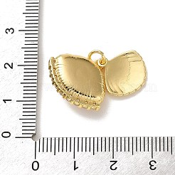 Brass Micro Pave Clear Cubic Zirconia Charms&nbsp;KK-P351-04A-G