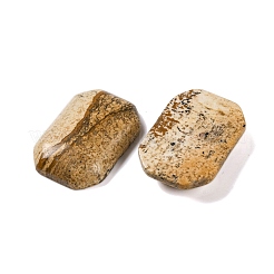 Natural Picture Jasper Cabochons&nbsp;G-B085-01A-02
