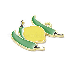 Alloy Enamel Pendants&nbsp;FIND-G106-02G-01