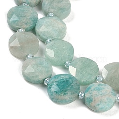 Natural Amazonite Beads Strands&nbsp;G-C116-A23-01A