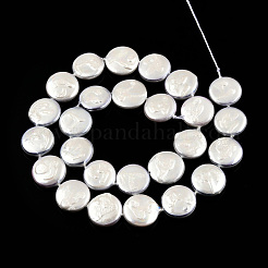 Plating Natural Freshwater Shell Beads Strands&nbsp;SHEL-N026-225B