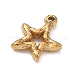 304 Stainless Steel Charms&nbsp;LS-SA-B007-02G-C