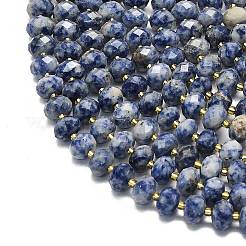 Natural Blue Spot Jasper Beads Strands&nbsp;G-P573-A45-01