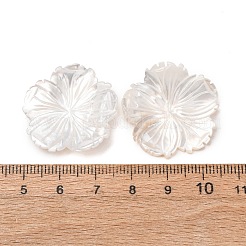 天然ホワイトシェル彫刻カボション  花  乳白色  28x2.5mm&nbsp;SHEL-G024-05