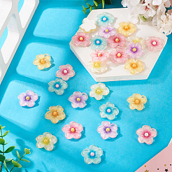 30Pcs 6 Colors Transparent Resin Cabochons&nbsp;RESI-TA0004-45