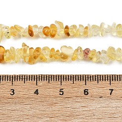 ガラスチップビーズ連売り  ナゲット  ゴールド  4~6x3~4x1.5~3mm  穴：0.5~0.6mm  29.92~30.71''（76~78センチメートル）&nbsp;G-B160-A01