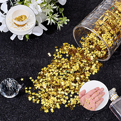 80G PVC Plastic Sequins Confetti&nbsp;AJEW-SP0001-99C
