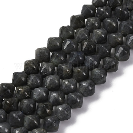 Natural Labradorite Beads Strands G-C171-E01-01-1