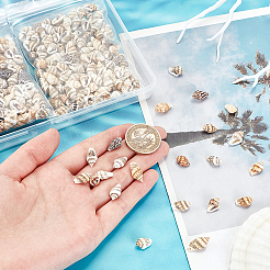 330Pcs 2 Styles Natural Shell Beads&nbsp;BSHE-PH0001-39