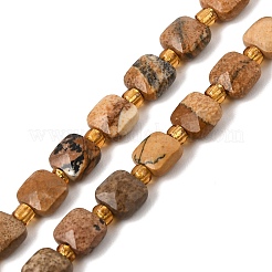 Natural Picture Jasper Beads Strands&nbsp;GG-CBA96AE-A02-6x6mm