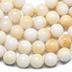 Natural Malaysia Jade Beads Strands&nbsp;G-L645-A01-10mm-28
