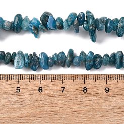 Natural Apatite Beads Strands&nbsp;G-F666-01B-02-01