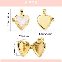5Pcs Natural Shell Locket Pendants&nbsp;KK-SZ0006-51