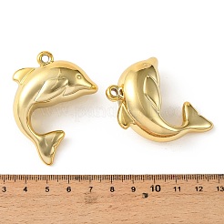 UV Plating Acrylic Big Pendants&nbsp;PACR-B005-03G