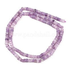 Natural Lepidolite/Purple Mica Stone Beads Strands&nbsp;G-G345-C18-2x4mm