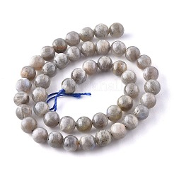 天然石ラブラドライトビーズ連売り  ラウンド  8mm  穴：1mm&nbsp;G-G212-8mm-23