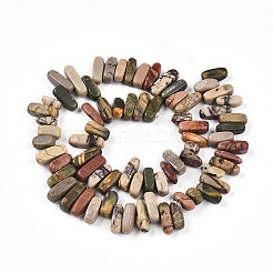 Natural Polychrome Jasper/Picasso Stone/Picasso Jasper Beads Strands&nbsp;G-T140-63