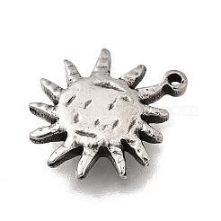 304 Stainless Steel Pendants&nbsp;STAS-H477-05P