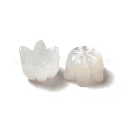 Natural Freshwater Shell Bead Caps&nbsp;BSHE-E026-12