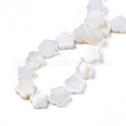 天然淡水シェルビーズ連売り  花  貝殻色  8~9x8~9x2.5mm  穴：0.8mm  約47~48個/連  14.88インチ〜15.24インチ（37.8cm〜38.7cm）&nbsp;SHEL-S278-078A-01