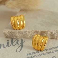 Geometric Wave Shape 304 Stainless Steel Stud Earrings for Women&nbsp;QO0090