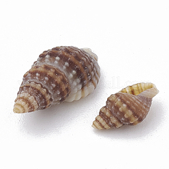 Sea Shell Beads&nbsp;LS-X-SSHEL-S258-03