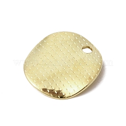 304ステンレススチールチャーム  フラットラウンド  アンボスと  18KGP本金メッキ  12x0.5mm  穴：1.5mm&nbsp;STAS-D217-04G