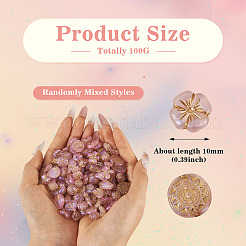 100G Transparent Acrylic Beads&nbsp;OACR-BT0001-05D