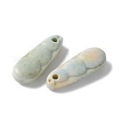 Natural Rainbow Alashan Agate Charms&nbsp;G-G194-05B