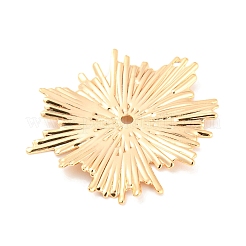 Rack Plating Brass Pendants&nbsp;KK-M261-12G