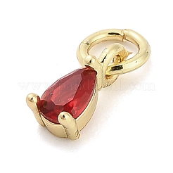 Brass Micro Pave Cubic Zirconia Charms&nbsp;KK-H527-13G-01