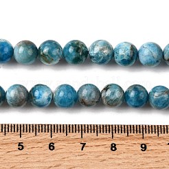 天然石アパタイトビーズ連売り  ラウンド  8mm  穴：0.9mm  約47個/連  15.35インチ（39cm）&nbsp;G-G858-01B-01
