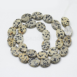 天然石ダルメシアンジャスパービーズ連売り  オーバル  14~15x10~11x5mm  穴：1mm  約28個/連  15.3インチ〜16.1インチ&nbsp;G-T122-04J