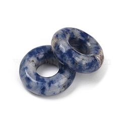 Natural Blue Spot Jasper Pendants&nbsp;G-G202-07A