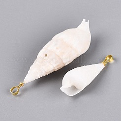 Spiral Shell Big Pendants&nbsp;SHEL-Q029-14KCG